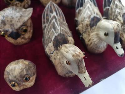 中国十大著名展会排行榜最新(中国十大著名土鸡排行榜)插图1