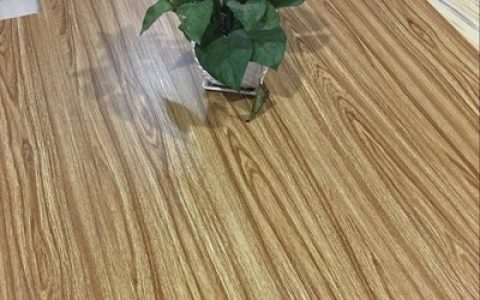 常州十大地板品牌排行榜(地板十大品牌排行榜前十名)