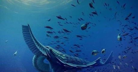 十大海洋奇迹排行榜(十大海洋巨兽排行榜)插图1