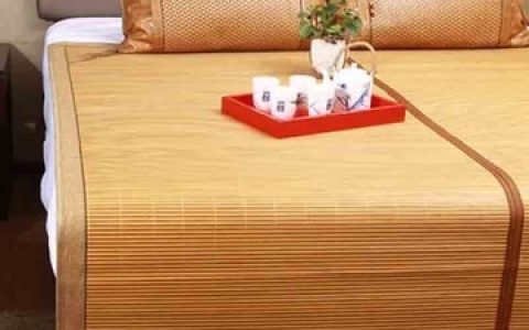 新疆电热炕十大品牌排行榜(电热炕品牌前十大排名图片)