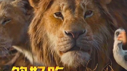 十大纪录片类目排行榜(十大雄狮排行榜纪录片)插图
