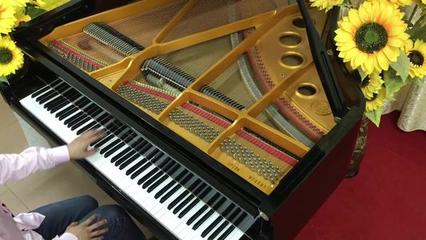 中国十大名曲排行榜欣赏(小提琴十大名曲欣赏)插图