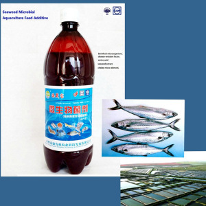 防锈剂十大品牌排行榜(模具防锈剂品牌排行榜前十名)插图