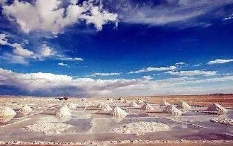 西北十大盐湖排行榜图片(十大盐湖提锂排行榜)