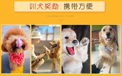 进口狗十大品牌排行榜图片(进口壁挂炉十大排名品牌排行榜)