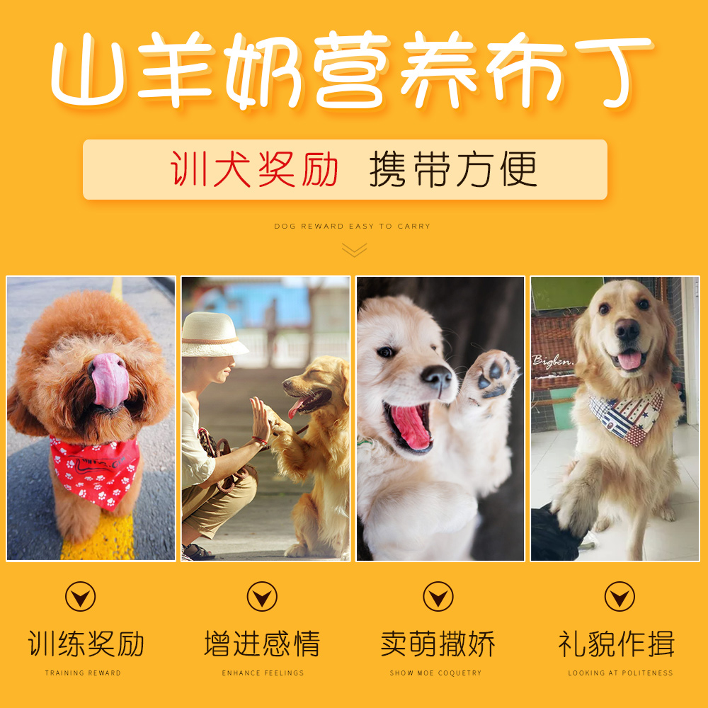 进口狗十大品牌排行榜图片(进口壁挂炉十大排名品牌排行榜)插图