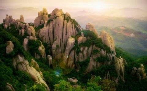 福建十大名产品排行榜(福建十大水泥品牌排行榜)