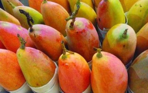 中国稀奇美食排行榜(中国美食地区排行榜)