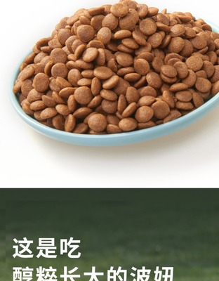 泰迪十大狗粮排行榜(泰迪专用狗粮排行榜)插图1