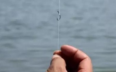 中国钓线品牌排行榜(十大钓线品牌排行榜)