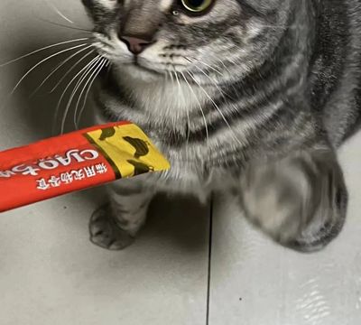 京东十大毒猫粮排行榜(中国十大国产猫粮品牌排行榜)插图6
