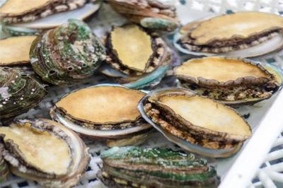 海口十大必吃美食排行榜(海口必吃的美食老店)插图