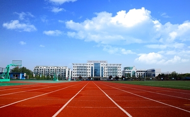 中国健身神器排行榜(中国健身学校排行榜)插图 中国健身神器排行榜(中国健身学校排行榜)插图