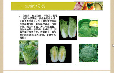 十大致癌花木排行榜(十大致癌蔬菜排行榜)插图1
