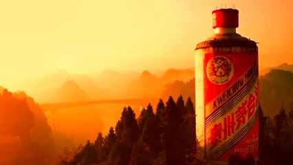 贵州十大客运站排行榜(贵州十大名酒排行榜)插图3