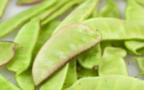 十大有毒蔬菜排行榜图片(十大有毒食品排行榜)