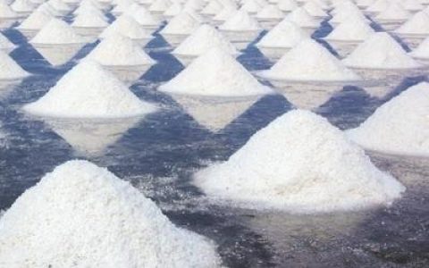 中国食盐量排行榜(中国食盐出口量)