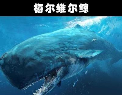 十大神级巨兽排行榜(史前十大海洋巨兽排行榜)插图1