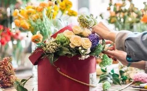 中国各地植物排行榜(中国各地彩礼排行榜)