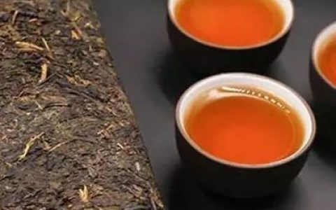 陈皮梅十大品牌排行榜(陈皮白茶品牌排行榜)