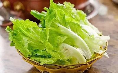 十大对身体有益蔬菜排行榜(对身体有益的蔬菜排行榜)插图
