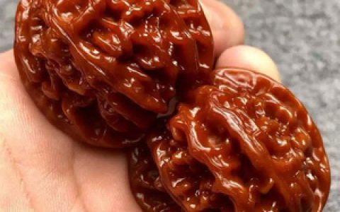 十大最硬核食物排行榜图片(硬核游戏十大排行榜)
