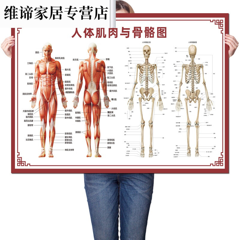 十大经络排行榜图片大全(做腿部经络的十大好处图片)插图