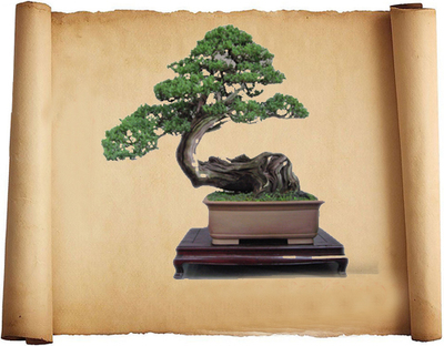 中国盆景价钱排行榜(中国盆景大师排行榜)插图1