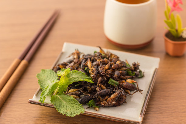 中国昆虫小吃排行榜(中国地方小吃排行榜)插图1