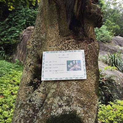 台湾十大植物园排行榜(中国十大植物园排行榜)插图1