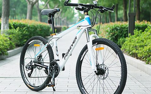 中国山地品牌排行榜(山地变速自行车品牌排行榜)