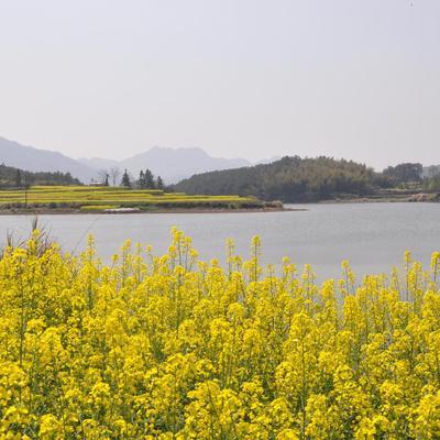 前苏联十大名曲排行榜(世界十大名曲排行榜)插图2