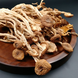 十大名贵植物药材排行榜(中国名贵动物药材排行榜)插图4