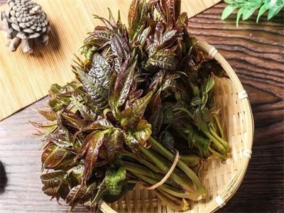 十大良菜排行榜图片(止咳药十大排行榜图片)插图1