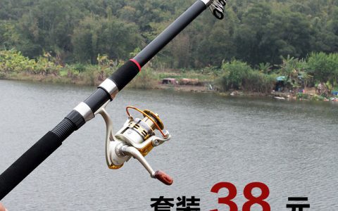 十大排行榜污污(十大排名鱼竿排行榜)