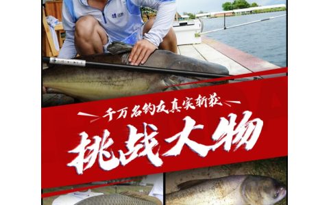 中国讲师排排行榜(虾皮讲师排行榜)
