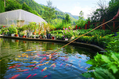 十大温泉成都酒店排行榜(天津十大温泉排行榜)插图3