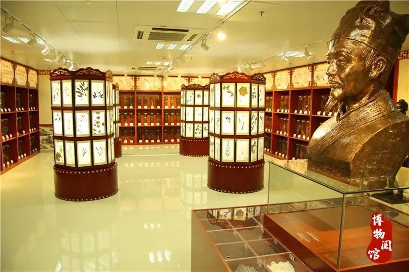 全国十大中医名医排行榜(深圳十大中医名医排行榜)插图