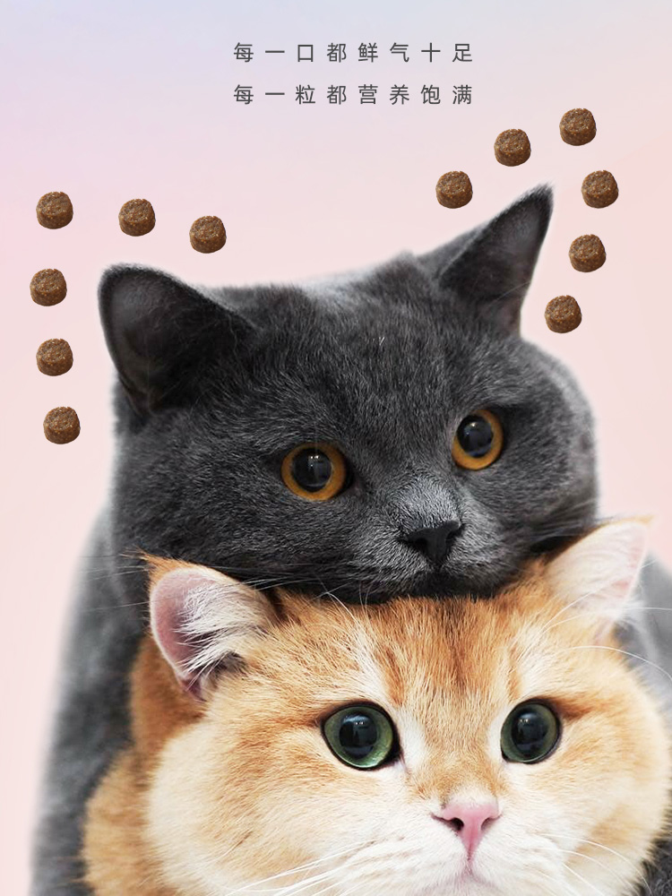 十大猫粮排行榜品牌(十大猫粮品牌排行榜)插图1