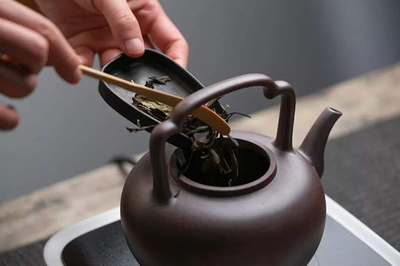 十大品牌煮茶器排行榜图片(十大品牌皮带排行榜前十名)插图