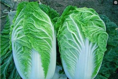 抗衰老十大食物排行榜(抗癌抗衰老食物排行榜)插图1
