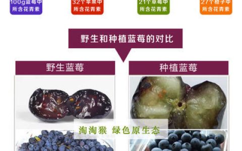 中国膳食 水果排行榜(中国水果产地排行榜)