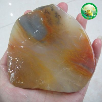 深圳十大韩料排行榜(深圳十大公司排行榜)插图