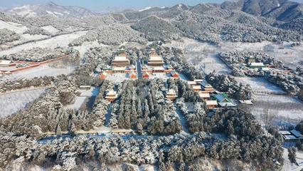 中国寿星村排行榜(河南十大寿星排行榜)插图1