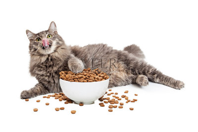 十大进口猫粮排行榜最新(十大放心猫粮国产排行榜)插图2