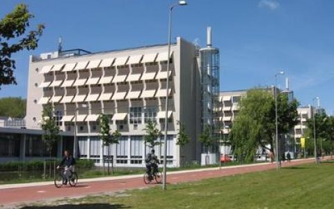 绥阳十大大学排行榜名单(全球十大大学排行榜名单)
