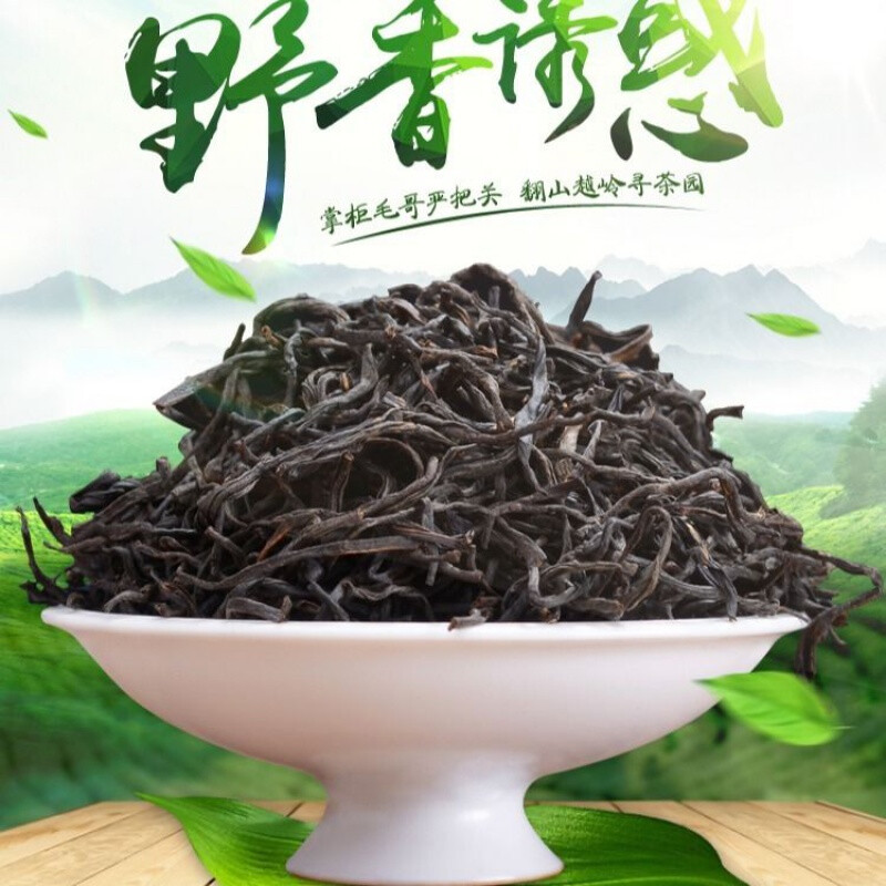 信阳灯带十大品牌排行榜(信阳十大高端毛尖品牌)插图1