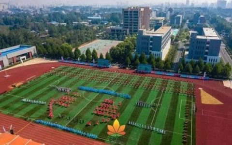 漯河十大小学排行榜图片(漯河十大富豪排行榜)