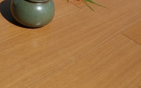十大耐用木地板品牌排行榜(十大进口木地板品牌排行榜)
