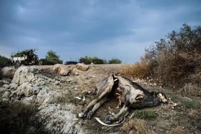 全世界十大恐怖国家排行榜(我的世界十大恐怖地图排行榜)插图